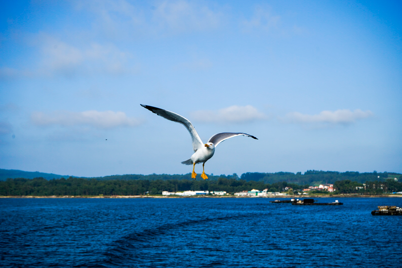 Aeronave <i>White Knight</i>